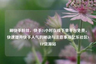 刷快手粉丝，快手24小时在线下单平台免费，快速提升快手人气的秘诀与注意事项亿乐社区SUP货源站