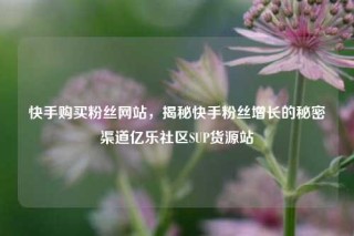 快手购买粉丝网站，揭秘快手粉丝增长的秘密渠道亿乐社区SUP货源站