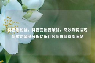 抖音刷粉丝，抖音营销新策略，高效刷粉技巧与成功案例分析亿乐社区低价自营货源站