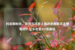 抖音刷粉丝，如何在抖音上高效地刷取关注和粉丝？亿乐社区SUP货源站