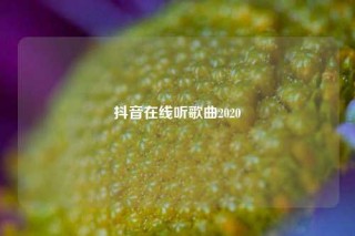 抖音在线听歌曲2020
