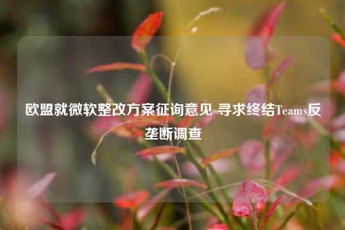 欧盟就微软整改方案征询意见 寻求终结Teams反垄断调查  第1张