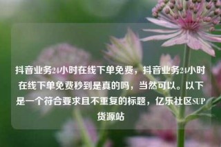 抖音业务24小时在线下单免费，抖音业务24小时在线下单免费秒到是真的吗，当然可以。以下是一个符合要求且不重复的标题，亿乐社区SUP货源站