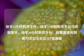 快手24小时购买平台，快手24小时购买平台马线报帮手，快手24小时购买平台，探索便捷购物新方式亿乐社区SUP货源站