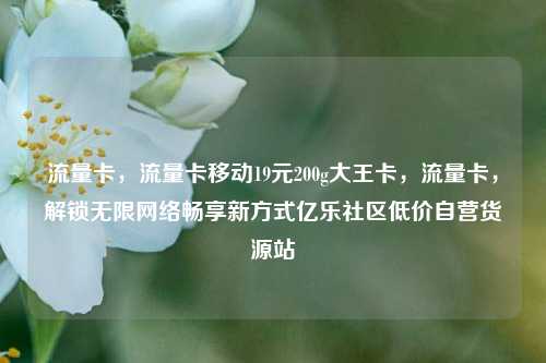 流量卡	，流量卡移动19元200g大王卡，流量卡，解锁无限网络畅享新方式亿乐社区低价自营货源站  第1张