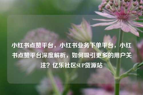 小红书点赞平台，小红书业务下单平台	，小红书点赞平台深度解析，如何吸引更多的用户关注？亿乐社区SUP货源站  第1张