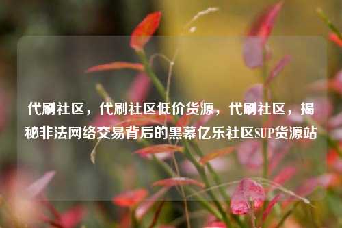 代刷社区，代刷社区低价货源，代刷社区	，揭秘非法网络交易背后的黑幕亿乐社区SUP货源站  第1张
