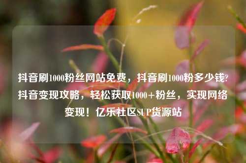 抖音刷1000粉丝网站免费	，抖音刷1000粉多少钱?抖音变现攻略，轻松获取1000+粉丝，实现网络变现！亿乐社区SUP货源站  第1张