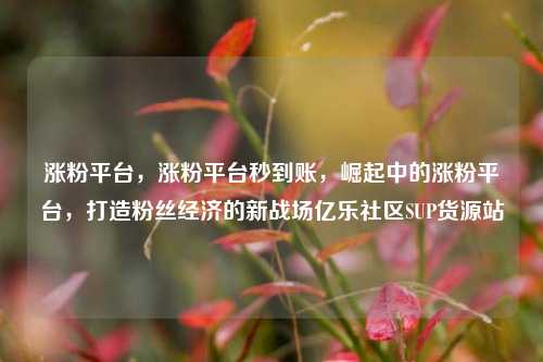 涨粉平台，涨粉平台秒到账，崛起中的涨粉平台，打造粉丝经济的新战场亿乐社区SUP货源站  第1张